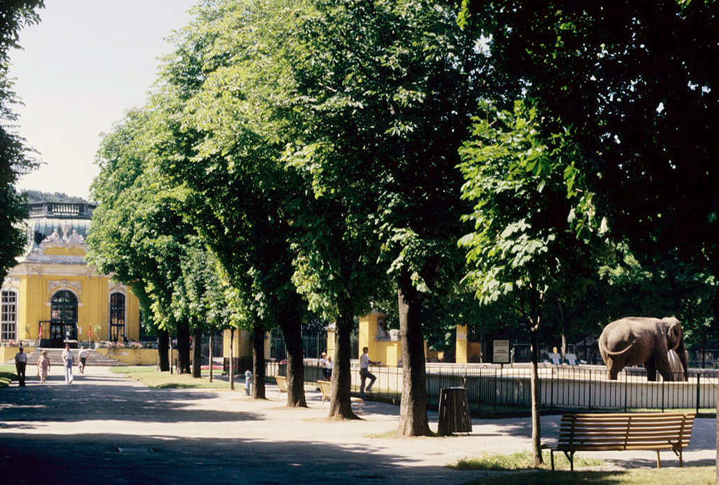 Schönbrunn Zoo
