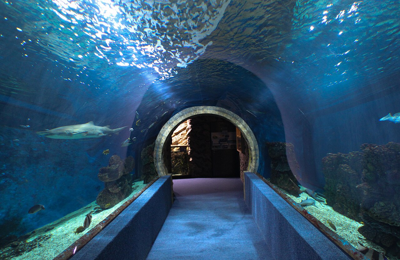 Sóstó Zoo