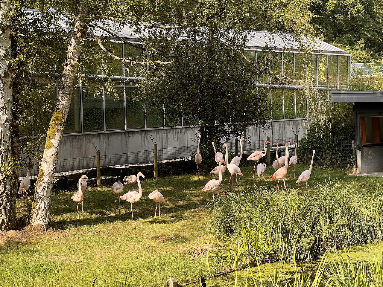 Parc Merveilleux